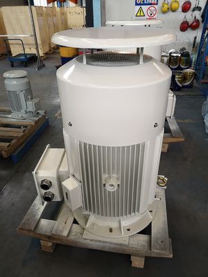 Soems Asynchronmotor des Niederspannungs-Kurzschlussmotor380v IE4