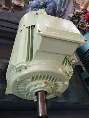 18.5kw Roheisen-Elektromotor asynchronen Dreiphasenkurzschlußwechselstrommotor