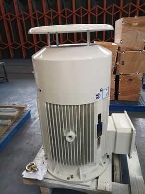 18.5kw Roheisen-Elektromotor asynchronen Dreiphasenkurzschlußwechselstrommotor